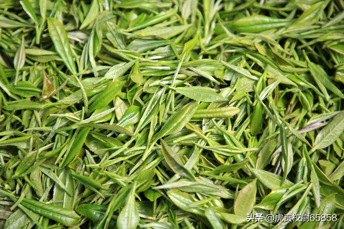 买茶的三大误区,买茶一定要避开的四个坑