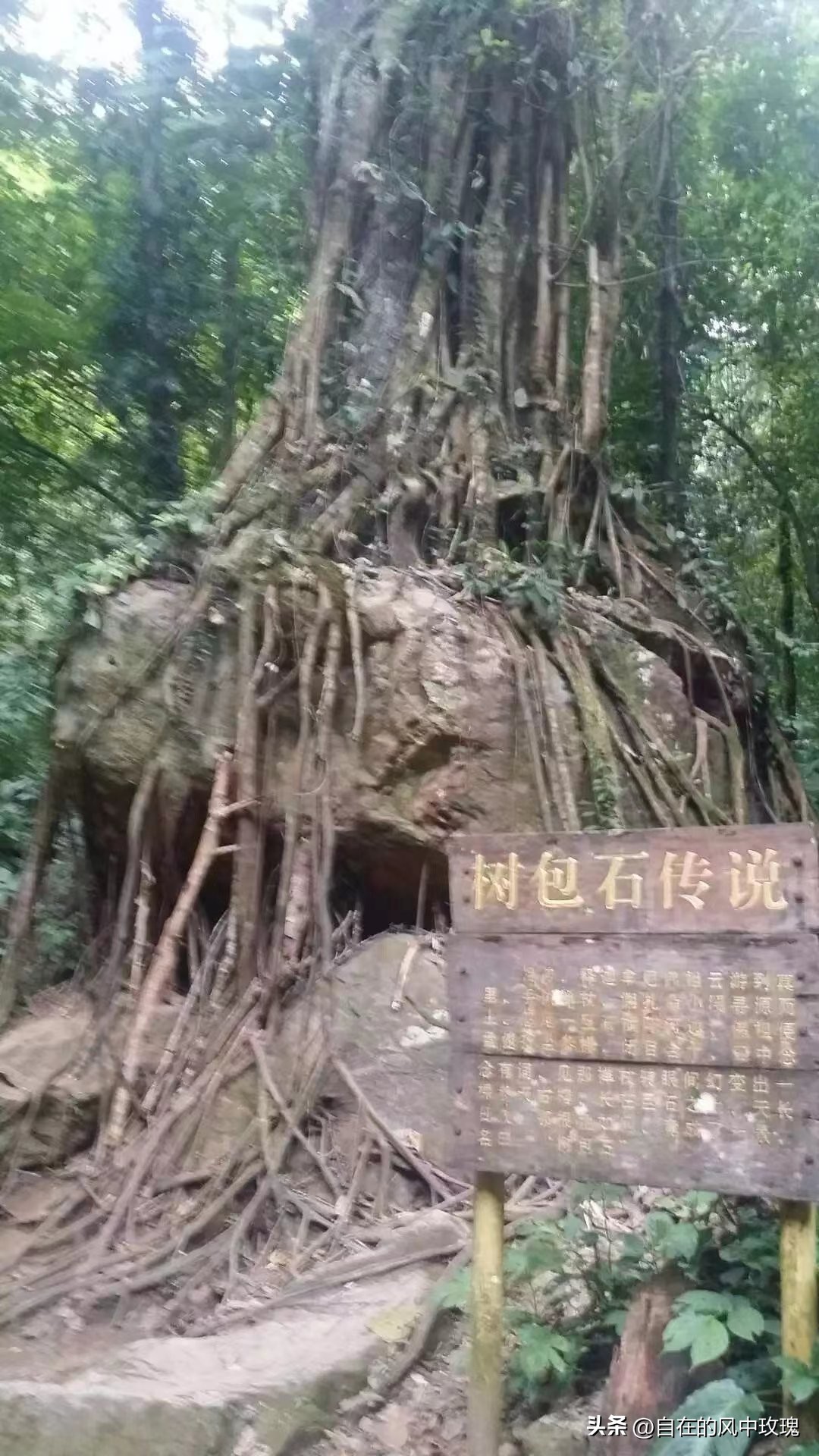 昆明腾冲瑞丽芒市六日游,腾冲瑞丽芒市旅游安全吗