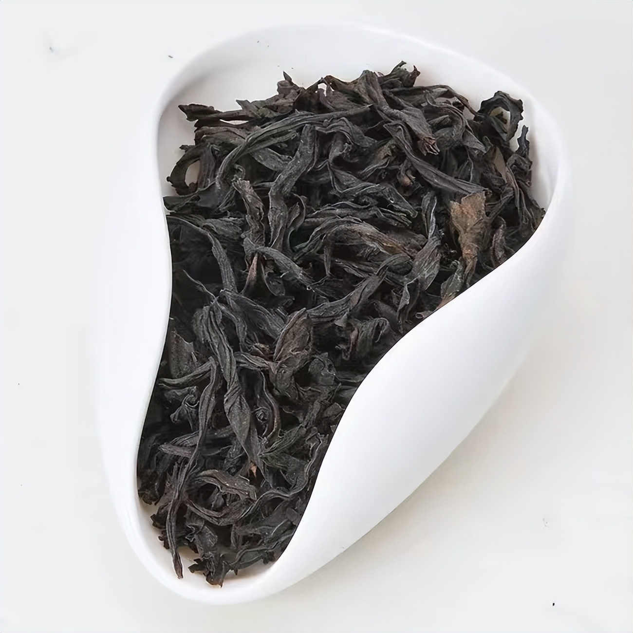 福建茶叶十大名茶,福建省名茶冲泡与品鉴