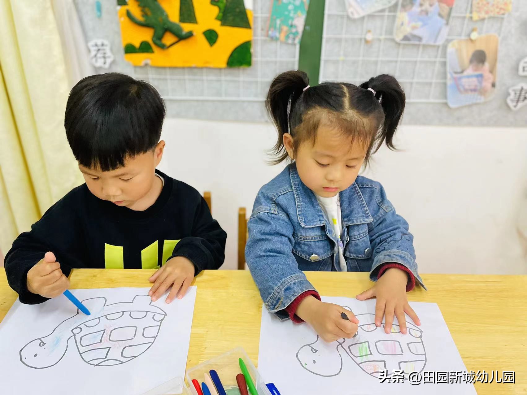 课程故事乌龟大班,嗨小鸭课程故事