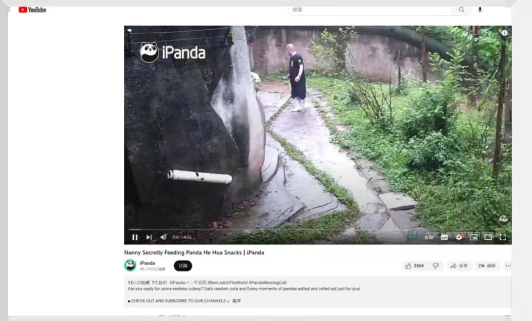 秒出100万！认养丫丫们背后，他们竟是最大赢家？