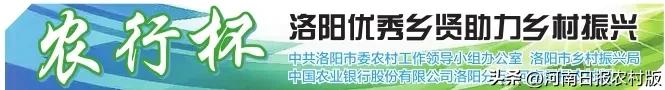 洛阳优秀乡贤—偃师区张海龙：聚合聚生聚变打造“绝热”高地