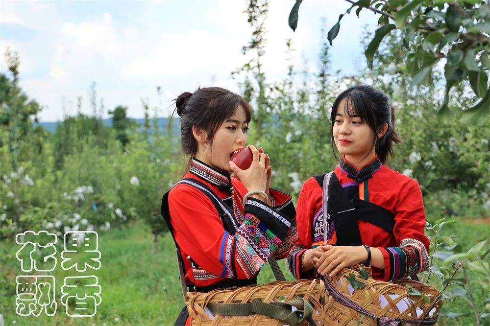 目前富士苹果最好的是哪一种,和富士苹果相似的苹果品种