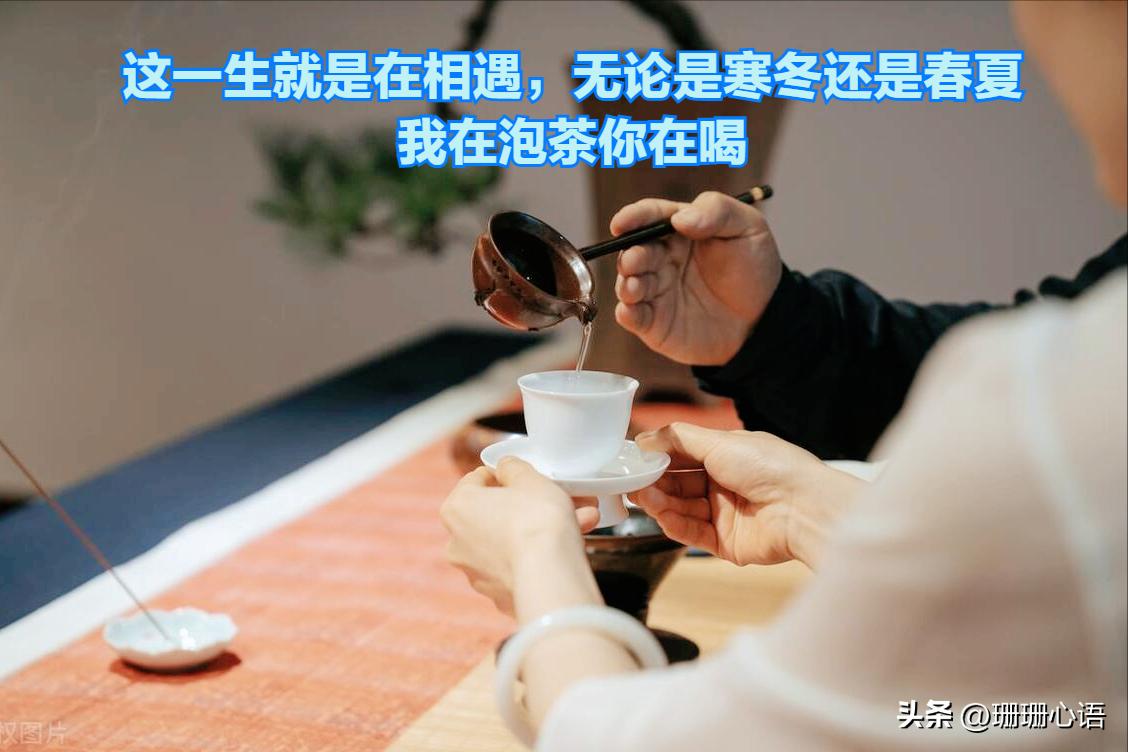 喝黑茶的茶具有什么讲究,喝了黑茶怎么有呕吐的感觉