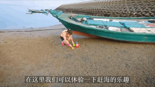 看海赶海视频大全,看海赶海适合去哪里玩