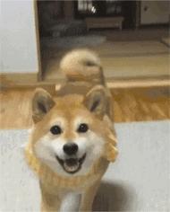 有创业项目没钱咋办,缺钱创业公司股权最佳分配方案