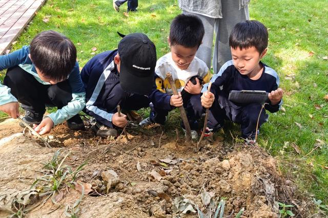 树叶为“剑”、挖土找虫，孩子们在“七彩研学”中自创新玩法
