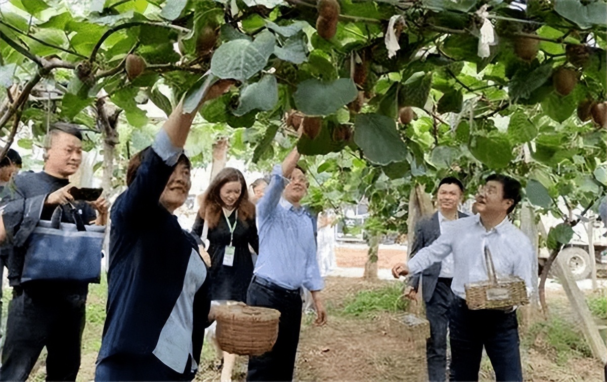 雪大初瑞雪鼓励年轻人去追梦,初瑞雪雪大讲述自己的故事