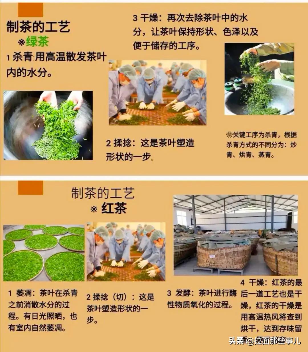 6大茶类哪种茶价格低,六大茶类哪个茶比较便宜