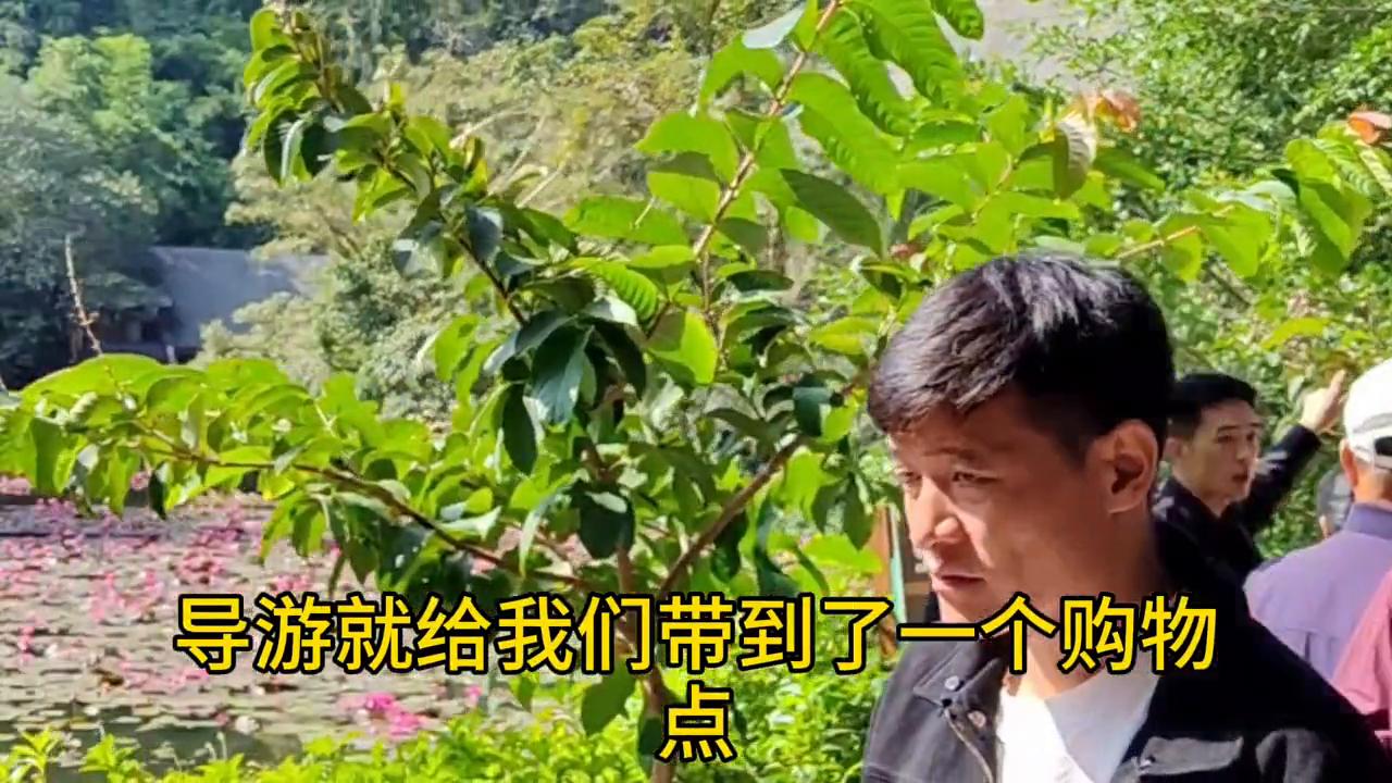 云南跟团购物都有哪些地方,云南旅游跟团购物店