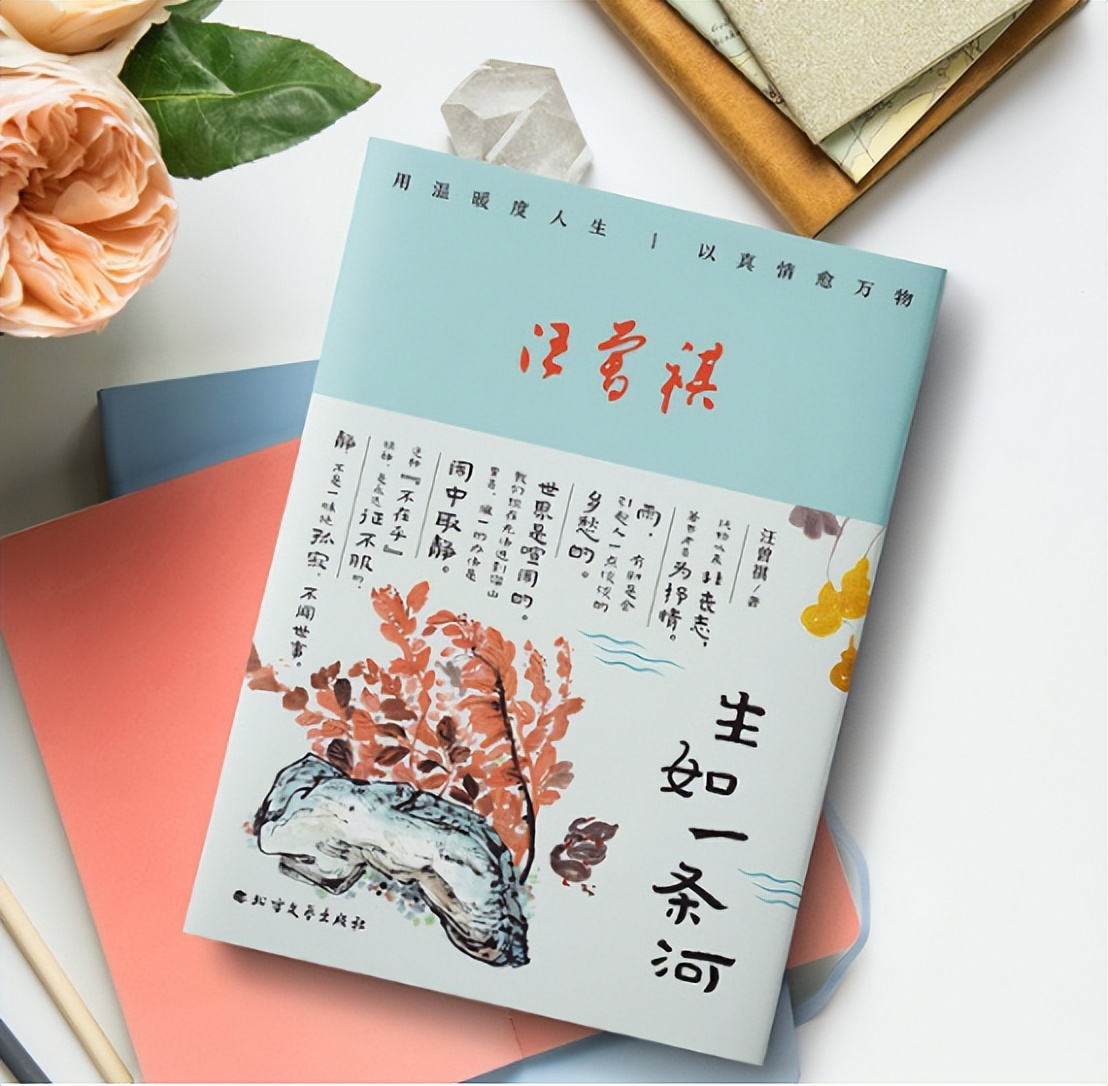 汪曾祺散文温暖治愈的句子,汪曾祺心灵鸡汤人生感悟