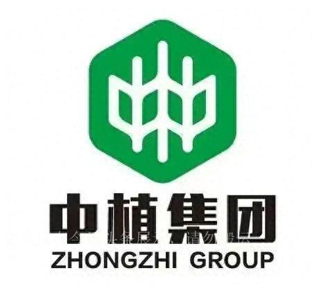 理想市值一夜暴涨500亿是真的吗,理想透露账面现金高达700多亿