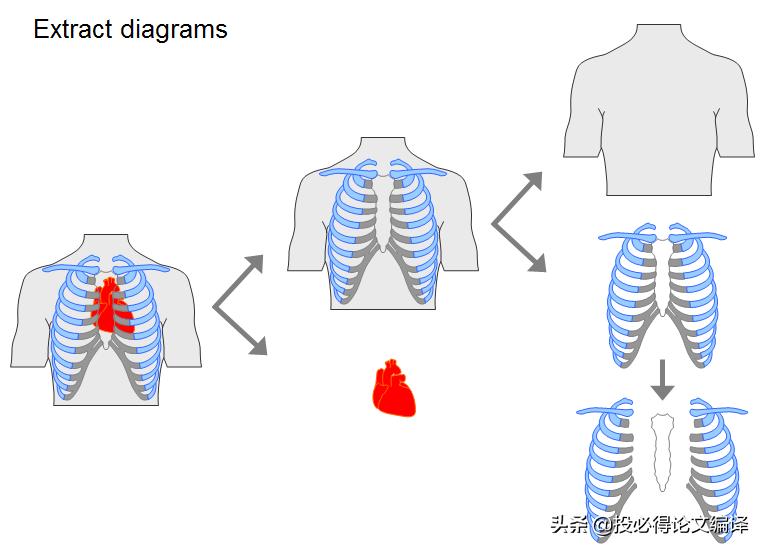 sci插图素材库,sci论文插图制作方法