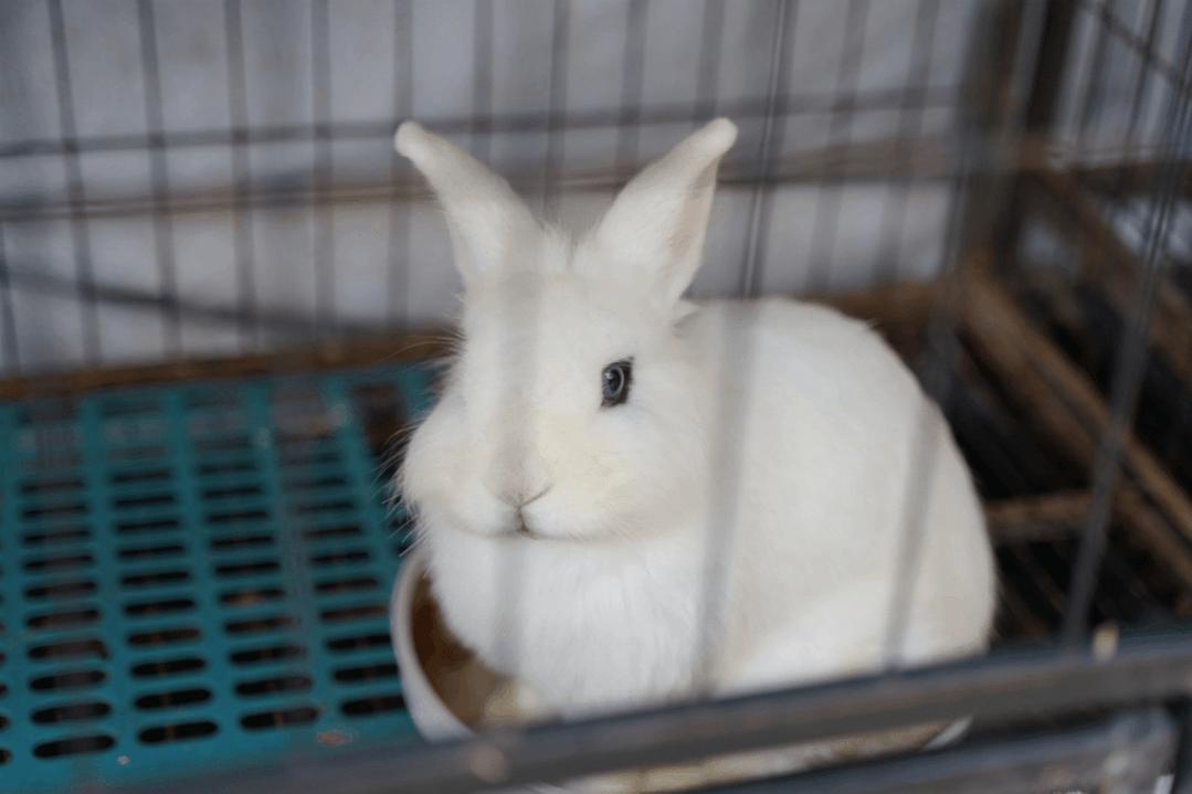 小泥巴营地亲子好去处,周末带孩子露营去哪玩推荐