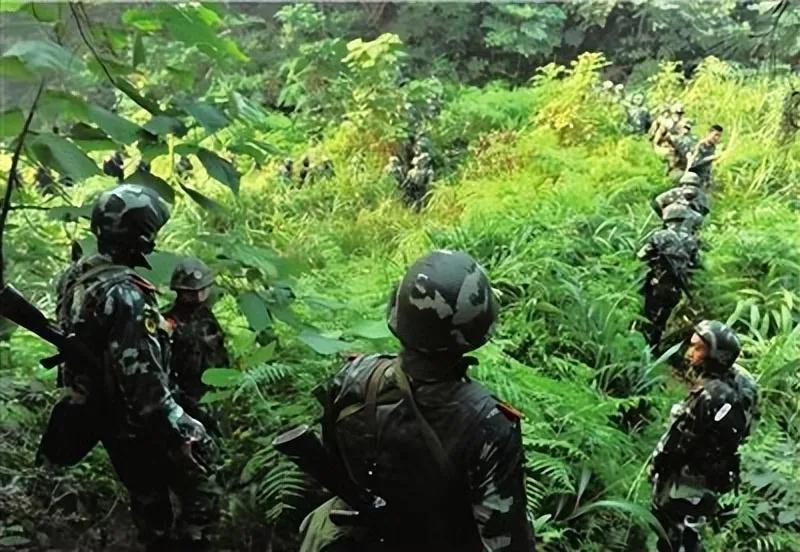 村民家的宠物狗叼回来一根脚趾头，牵扯出背后一起杀人抛尸长江案