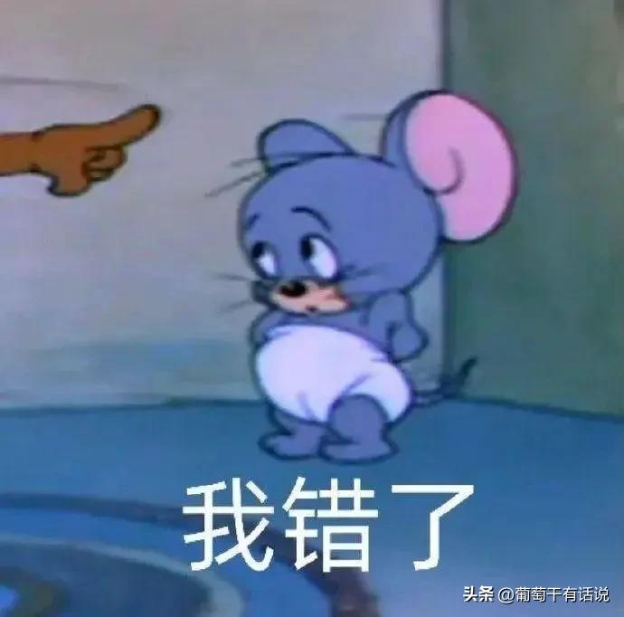 道歉专用表情包哄对象最有效,道歉专用表情包鸭鸭对不起