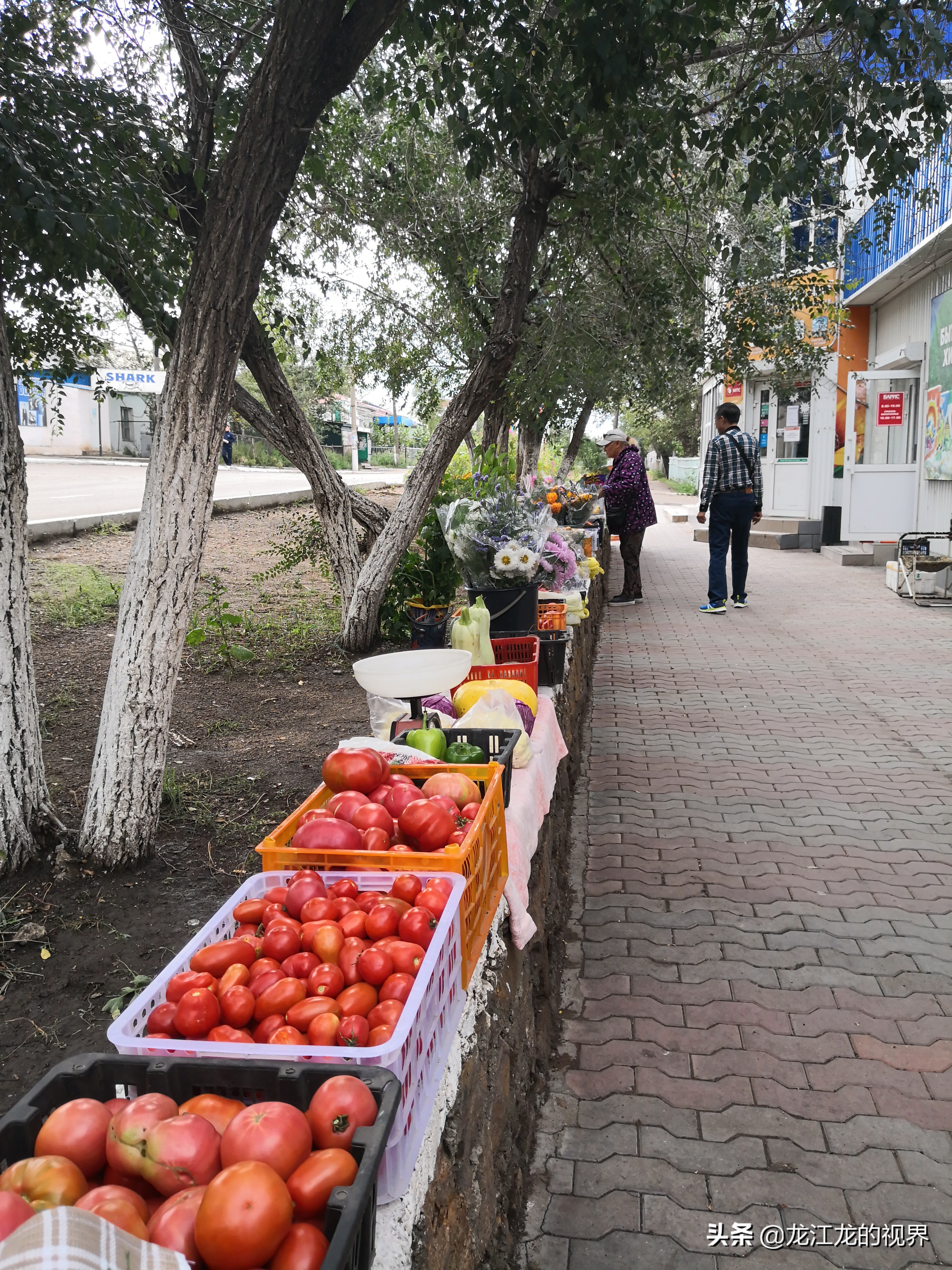 龙行天下北京游,龙行天下之北京