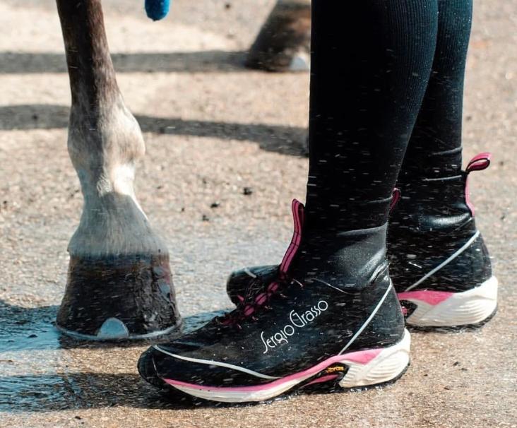 耐力赛骑手和马匹的装备，该如何选择？