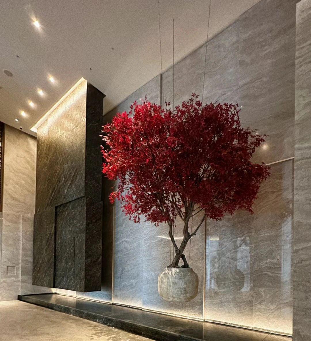 杭州康莱德酒店大厅效果图,深圳康莱德酒店拍摄