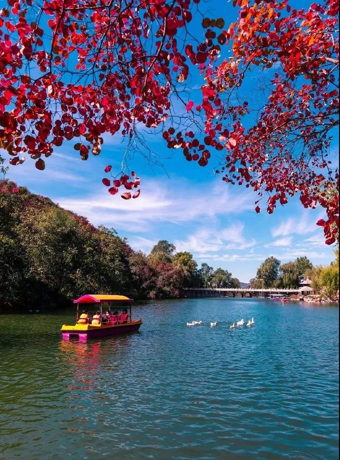 济南赏秋全攻略,秋天济南去哪里赏秋最好