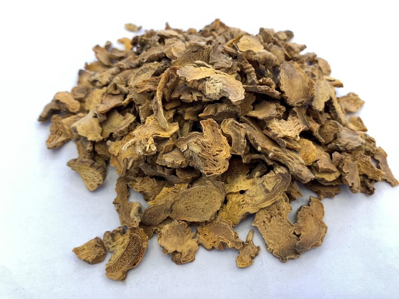 藁本的药性歌诀,每天学习一味中药藁本