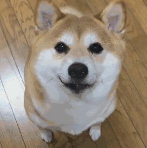 有创业项目没钱咋办,缺钱创业公司股权最佳分配方案