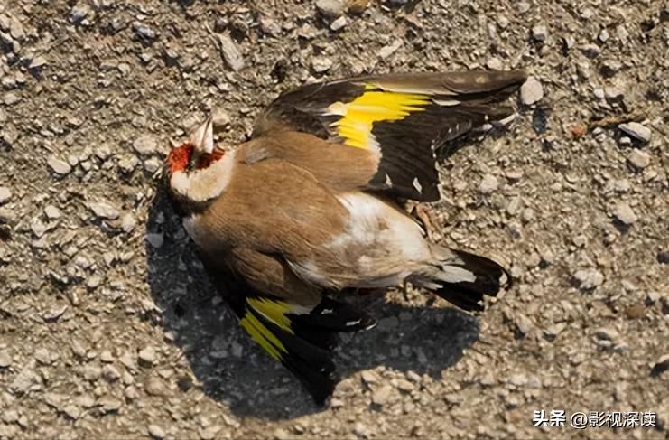 世界变态杀人魔第一名,全球变态杀人狂魔第一名