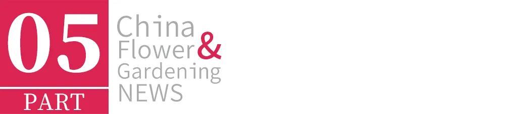 2022年苗市缓缓落幕，谁家欢喜谁家愁？