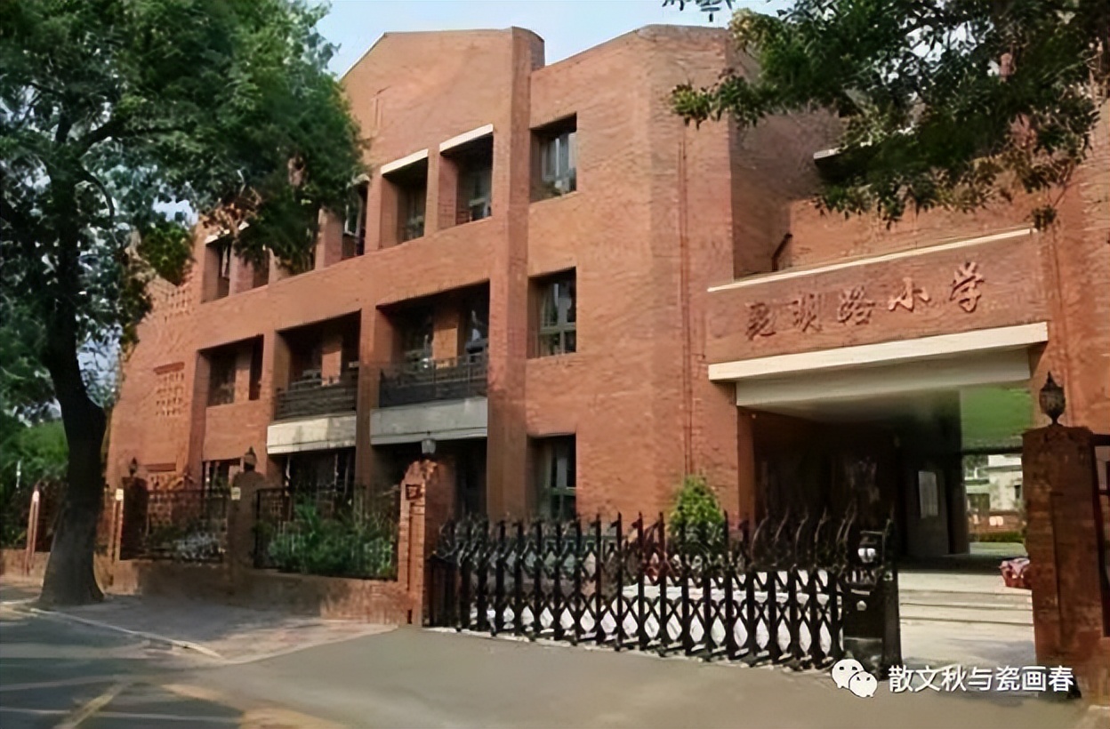 金蔷薇故事摘抄,金蔷薇故事