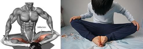 ,文字版跪坐与双盘：开胯、膝、踝#传武#太极