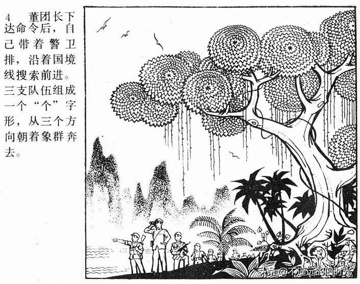 大象搬家,大象搬家河北