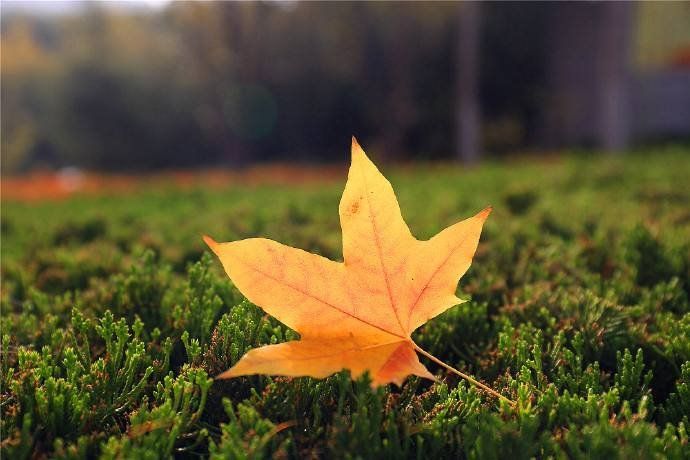 聪明但是用错了地方,别把聪明太当回事