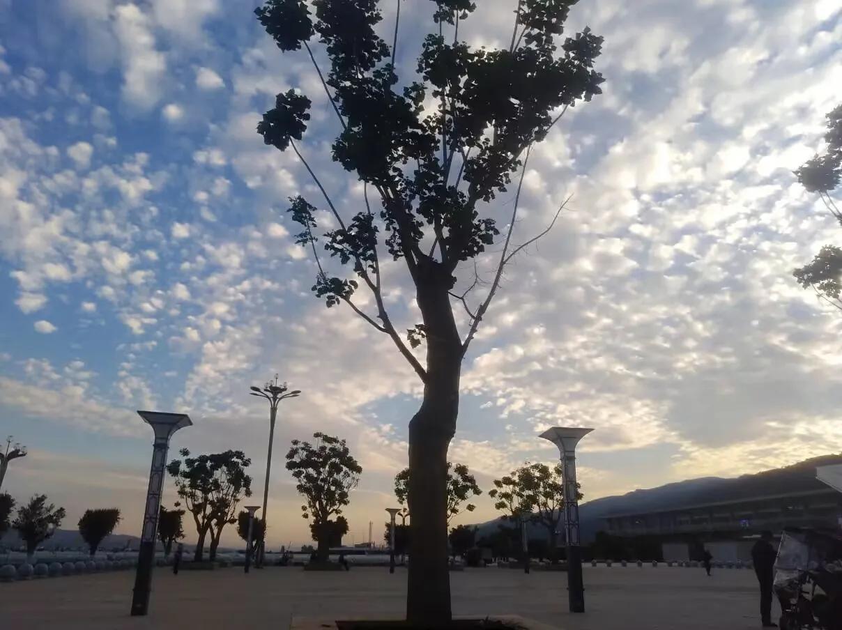 男女合租是什么感受,男女合租是什么感受热评