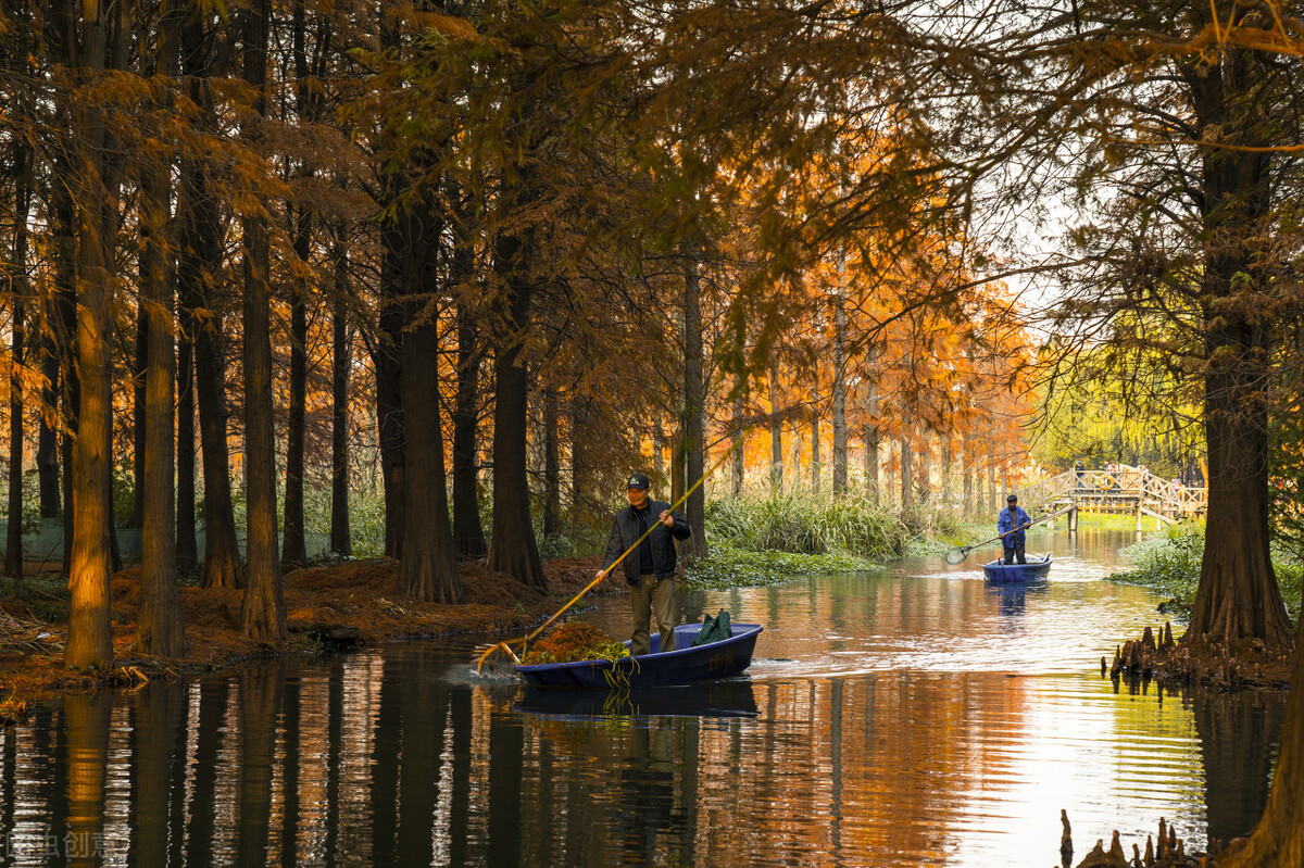 十一国庆上海不出沪去哪玩,上海国庆去哪玩