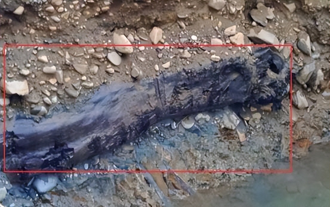 四川挖到天价乌木纪录片,四川农民发现天价乌木实拍