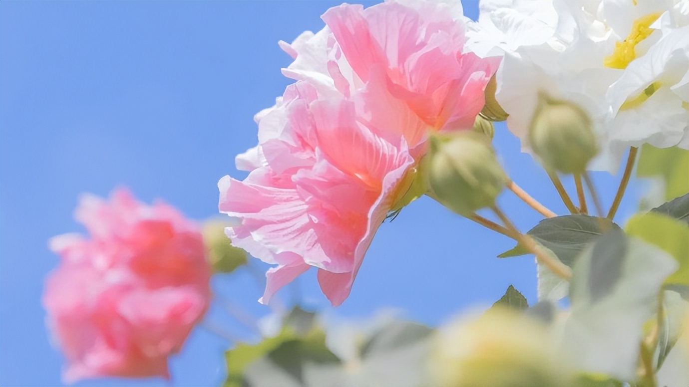 老了跟父母一起住还是分开住,人老了能和子女在一起住吗