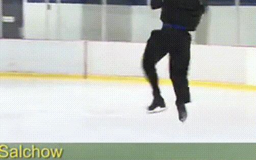 关于花滑的专业动作,花滑的各种动作图解