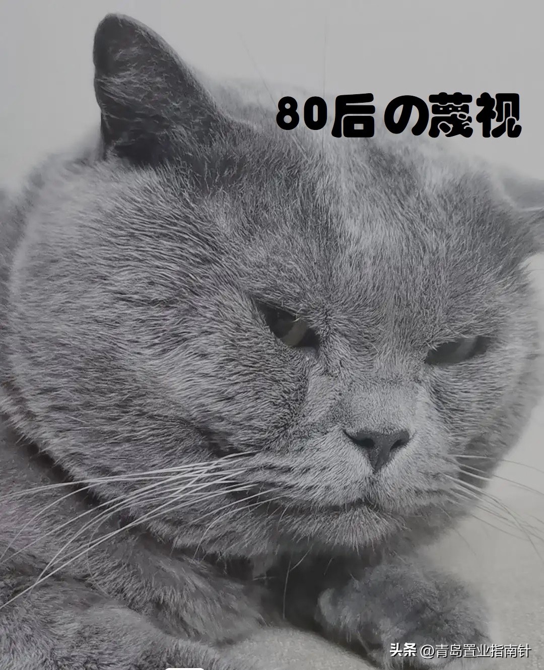 李沧睡城,李沧区值得去吗