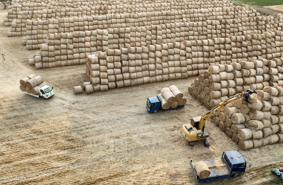 澳洲gti项目官方历年数据解析,澳洲gti需要什么条件