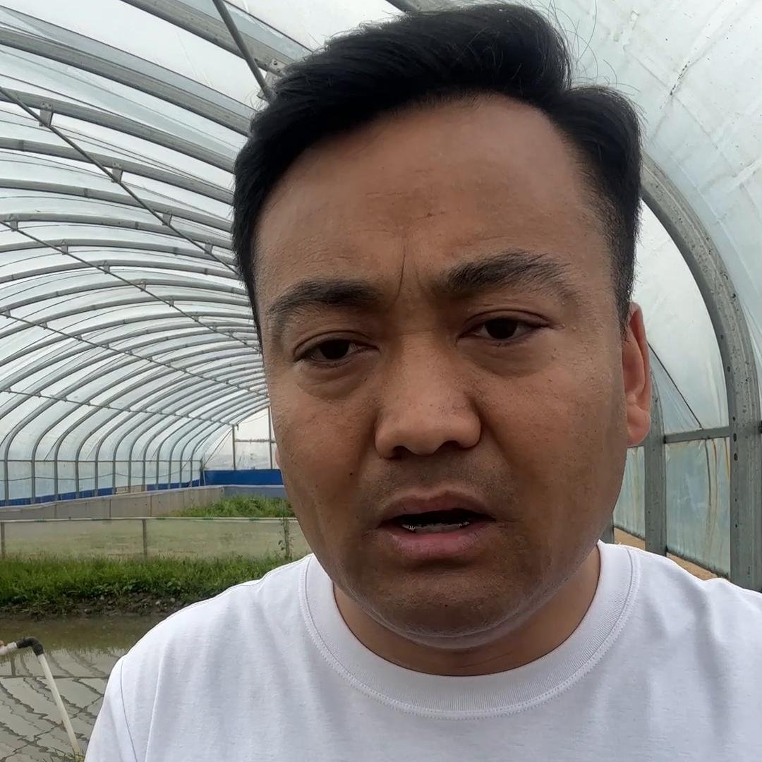 蟾蜍养殖在线解答,蟾蜍养殖新手必看