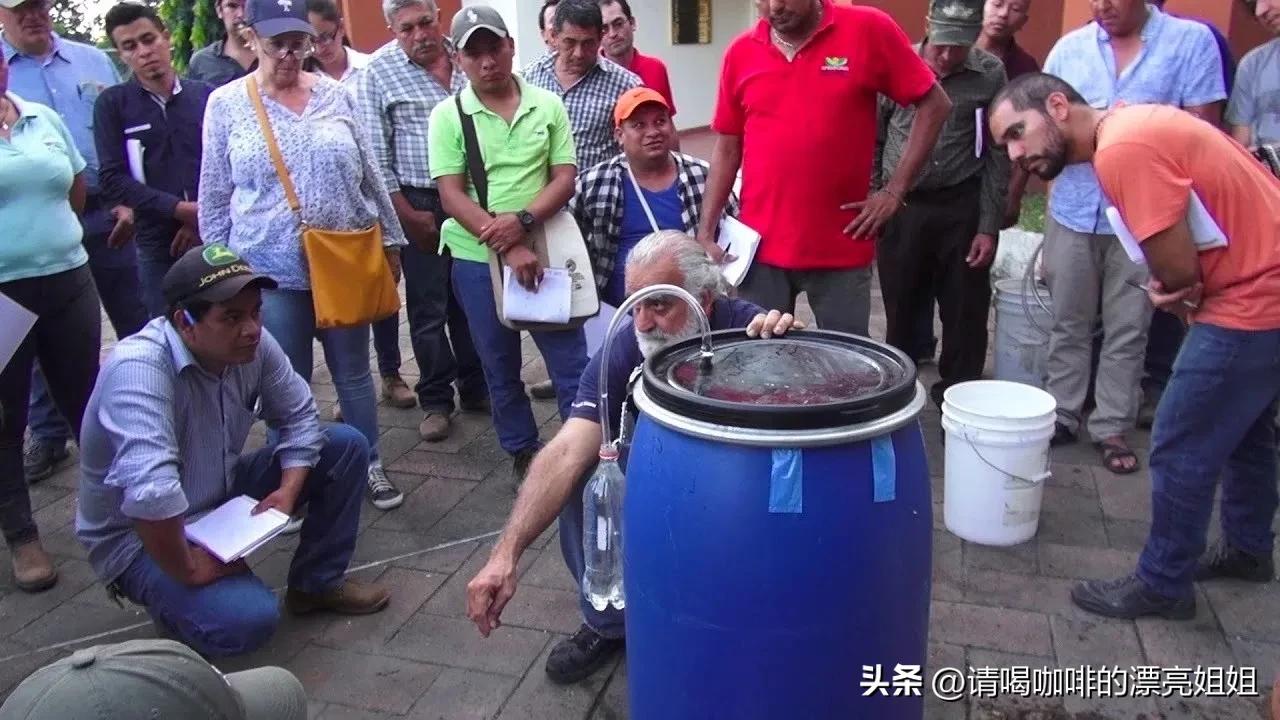 云南天皓庄园咖啡豆,云南天皓庄园