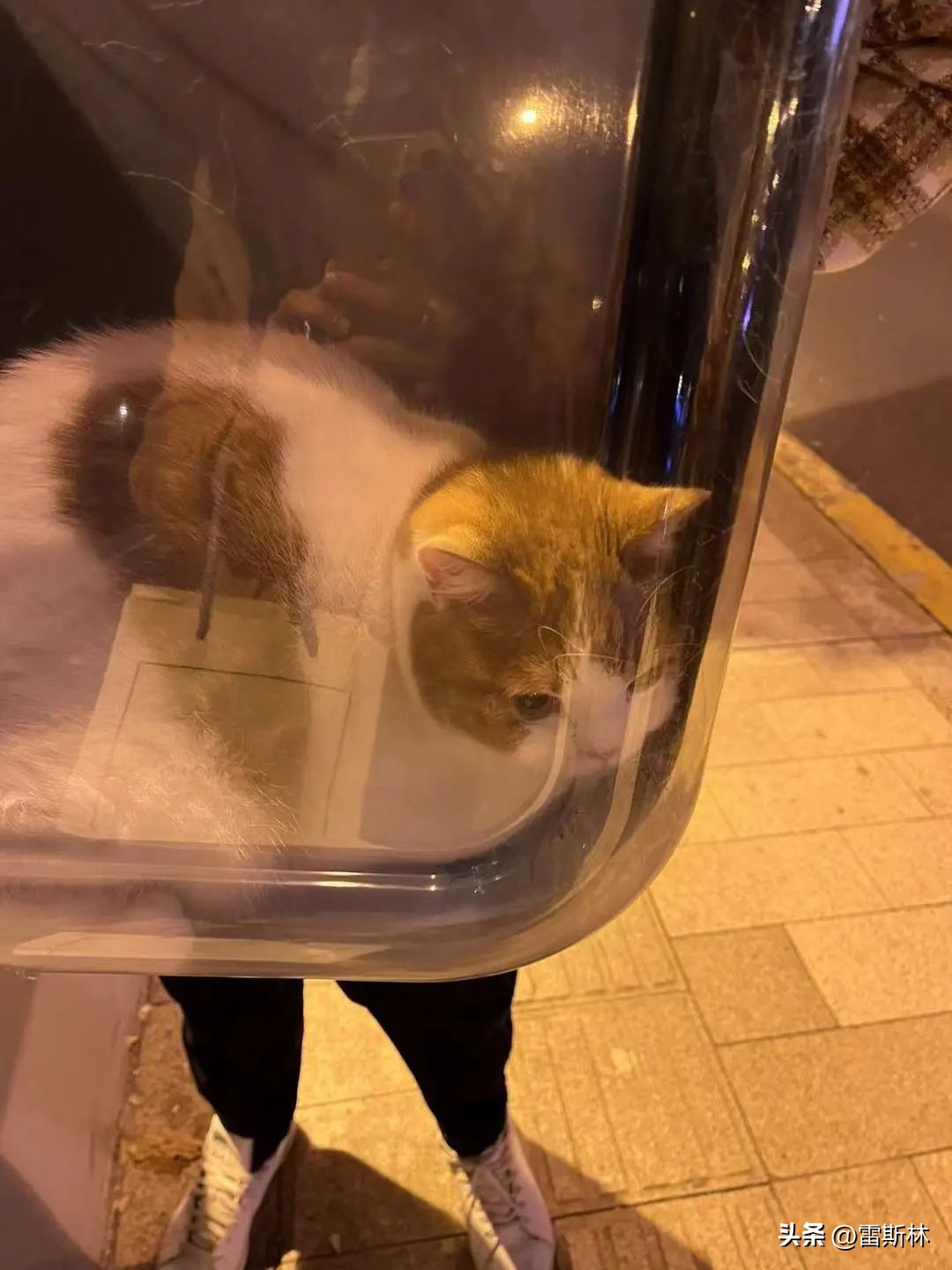 阳了一个月后，你们还有哪些症状？