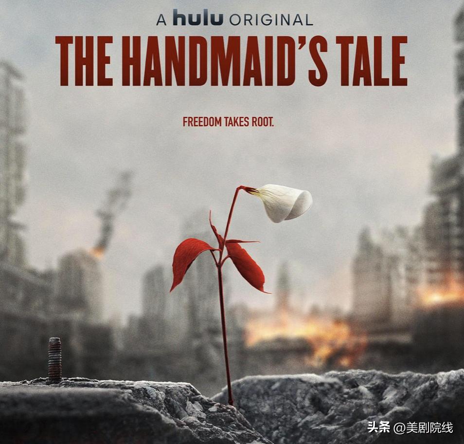 20部值得看的新剧,2020下半年最令人期待的十部剧