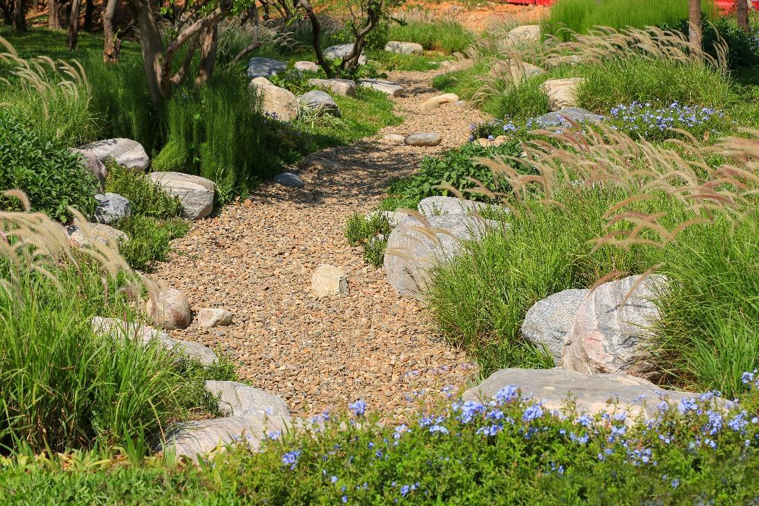 深圳坪山大山陂主题公园游,深圳坪山汤坑水公园