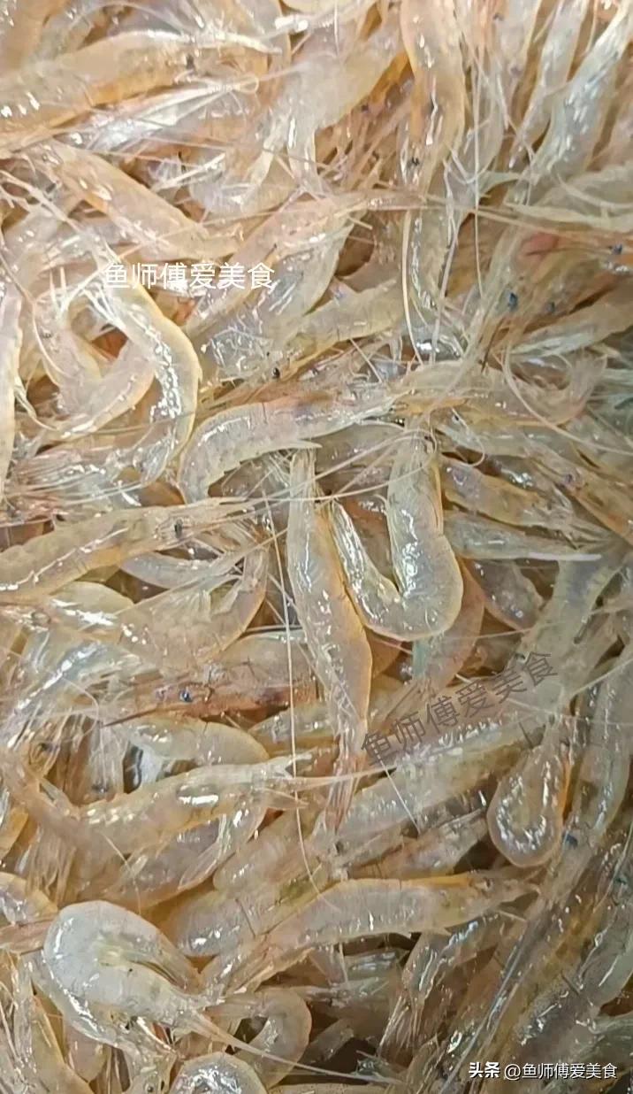 春天好吃的五种小海鲜,适合春天吃的海鲜有哪些