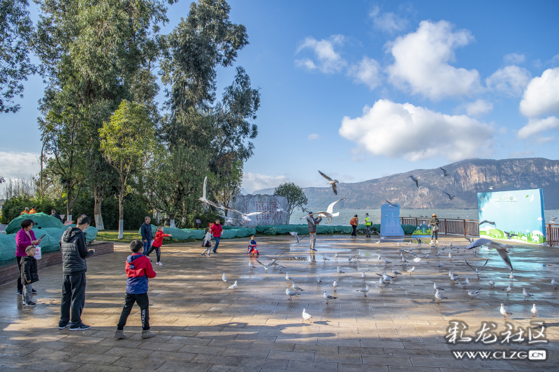 云南昆明生态旅游,昆明官渡区生态文化新城