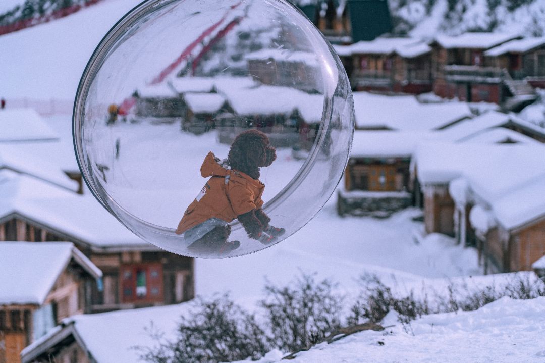 宸濊タ娴极鐨勫ぉ鑺辨澘,鏃嬭浆鏈ㄩ┈宸濊タ缇庢櫙