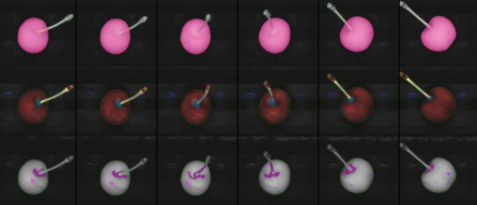 哪个国家能实现车厘子自由,在云南实现车厘子自由