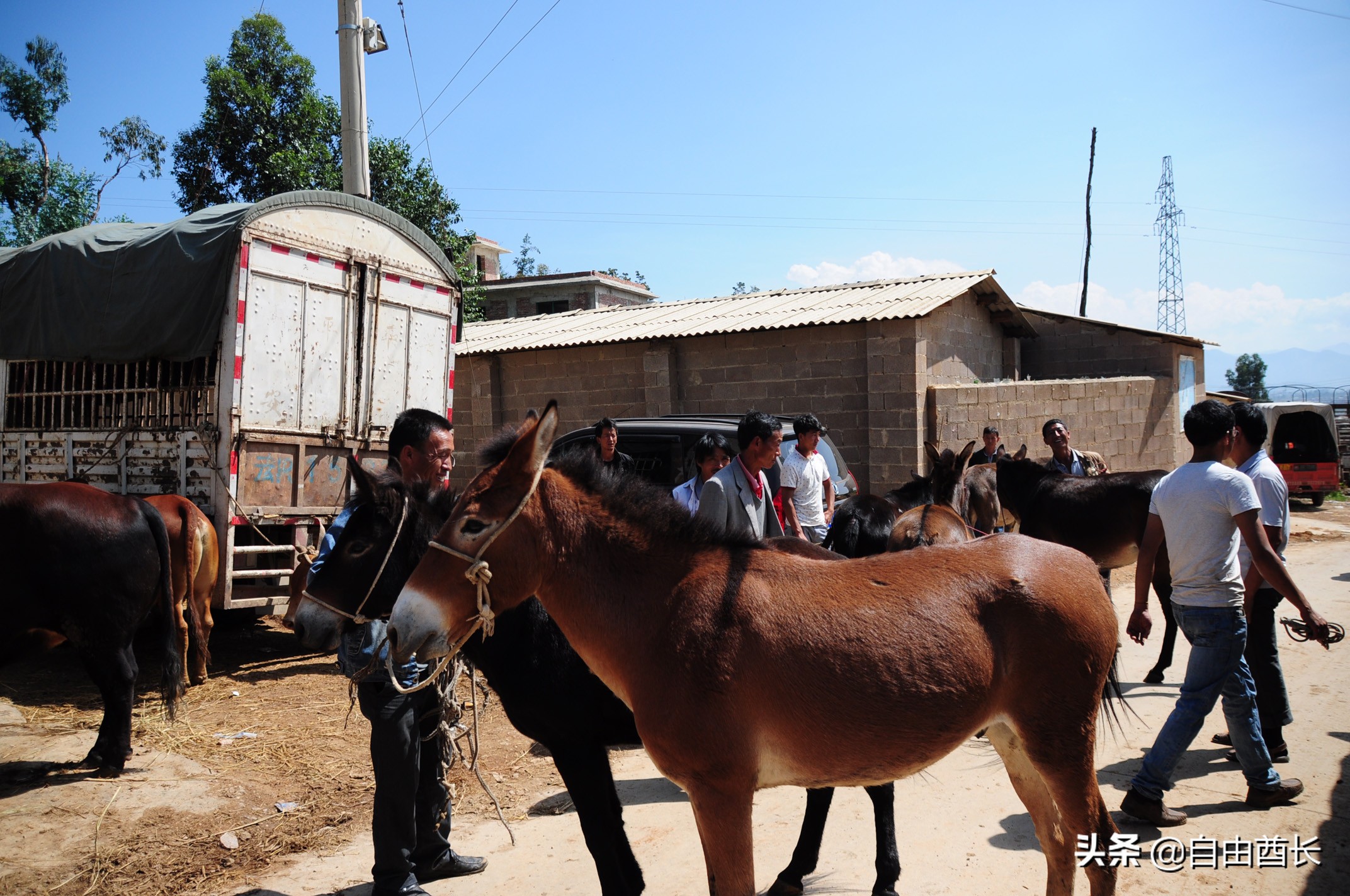 远去的驮铃声（十）抚仙湖畔的约定