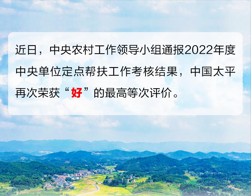 全力推进中央定点帮扶纪实,定点帮扶工作整体情况